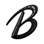 Company name Badshah Logistics India Pvt Ltd