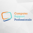 Computer Support Professionals