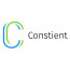 Constient Global Solutions