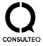 CONSULTEQ INFORMATION TECHNOLOGY