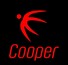 Cooper IT Solutions LLP
