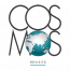Cosmos Revisits