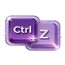 CPZ Information Technology L.L.C