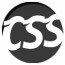 CSS PLAYER IT SOLUTIONS PVT LTD