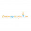 Custom Logo Designer