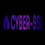 CYBER-SSI
