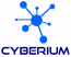 Cyberium Inc USA