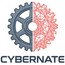 Cybernate System Limited