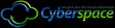 Cyberspace Networking Systems P Ltd