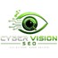 CyberVision SEO