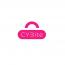 cybite pvt ltd
