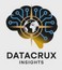 DATACRUX INSIGHTS PRIVATE LIMITED