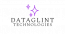 Dataglint Technologies