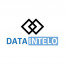 Dataintelo