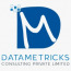 Datametricks Consulting Private Limited