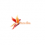 DazzleBirds