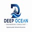 Deep Ocean Engineering Consultant