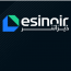 Desinoir
