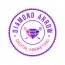 Diamond Arrow Digital Marketing Agency