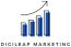 digileap marketing services