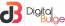 Digital Bulge