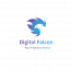 Digital Falcon LLC