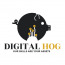 Digital Hog Online Marketing Services Inc.