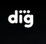 Digital Industry Group