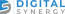 Digital Synergy LLC