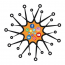 digiVirus