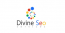 Divine SEO Services