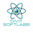 Divit softlabs Private Limited