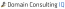 Domain Consulting IQ