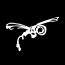 Dragonfly Video Production