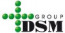 DSM Group