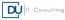 DU IT Consulting