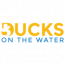 Ducks on the water