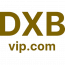 DXB-VIP