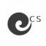 eCS Evolution Consulting Services