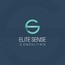 Elite Sense Consulting