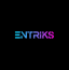ENTRIKS Talent Hub LLC