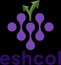 Eshcol Global Services Private limited