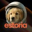 Estoria
