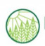 Evergreen Funding, Inc.