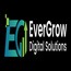 EverGrowDigitalSolutions