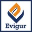 Evigur Solutions Corp.