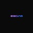 Execurve