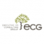 Executive HR Consulting Group