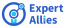 Expert Allies