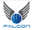 Falcon Services